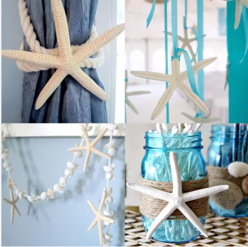 20 PCS 2-4 Inch 4-6 Inch Bulk Natural Real Starfish For DIY Crafts Wedding Beach Christmas Tree Ornaments - view 3