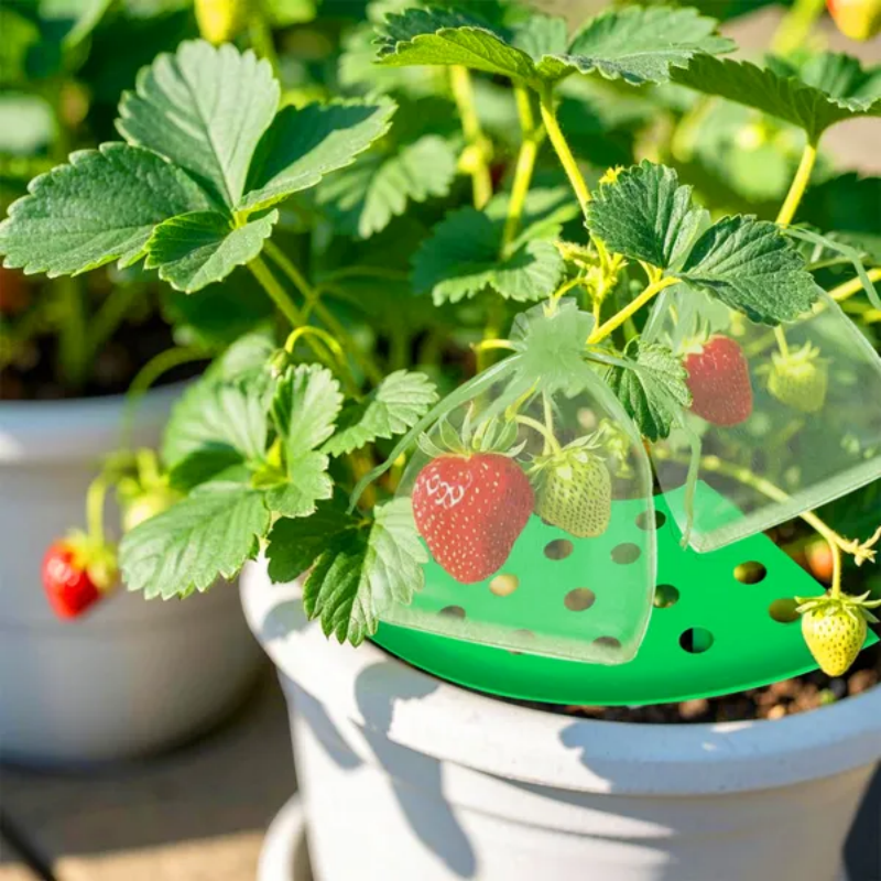 8Pcs Strawberry Planting Kit With 20Pcs Insect-proof Mesh Bag Reusable Strawberry Growing Racks Frame Protecting - view 6