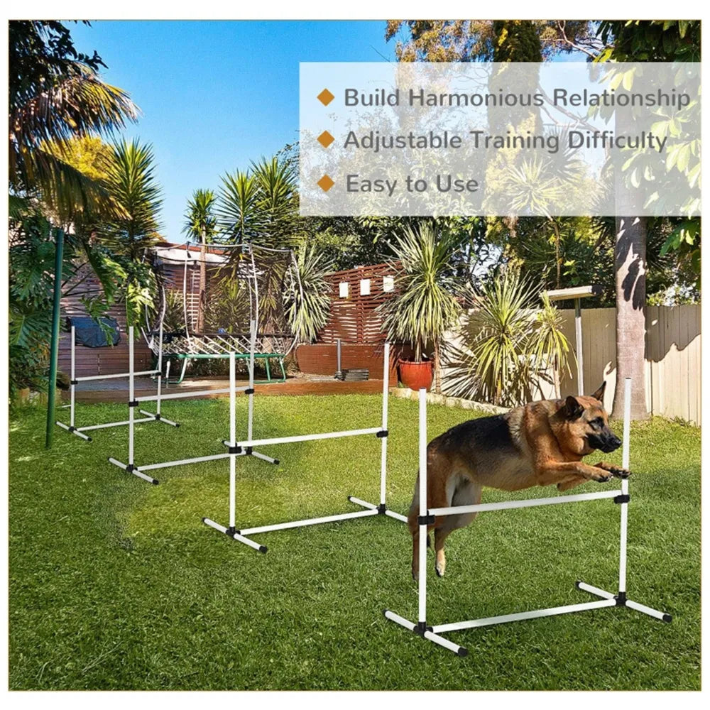 Dog Agility Training Equipment - view 6