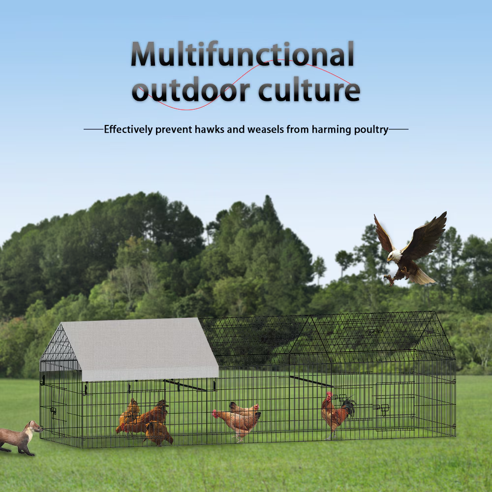 Poultry Farming Outdoor Metal Chicken Coop - view 3