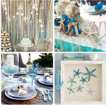15pcs 2.3-4.3 Inch Starfish Hanging Christmas Tree Ornaments Star Fish Shells Decor For Crafts - view 6