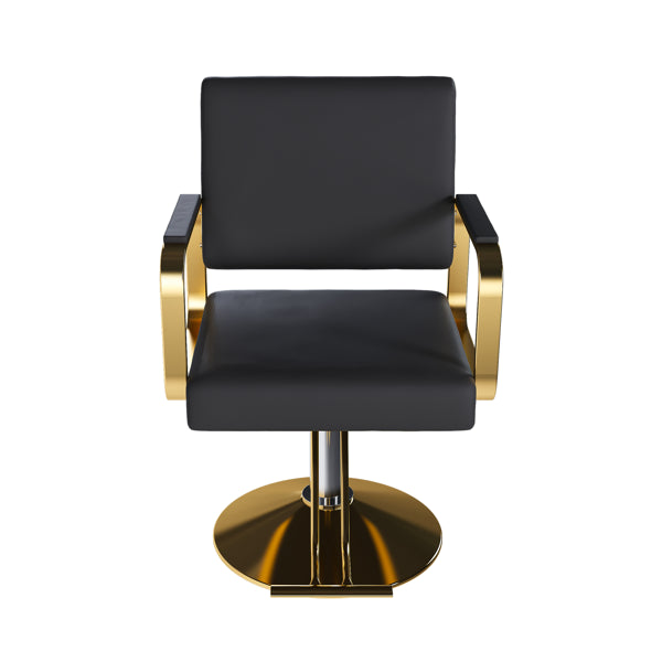 Hydraulic Salon Chair - 360° Swivel Barber Stylist Chair With Pump, Non-Tilting Hairdressing Chair For Hair Salons