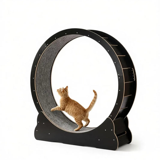 Wooden Cat Exercise Wheel - view 2