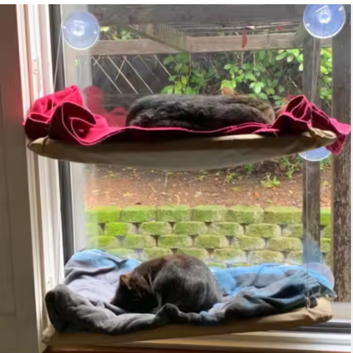 US LOCAL STOCK Hiphoppet Best Selling Washable Window-Mounted Sucker Cat Hammock Cat Nest Seat Elaxing Spot To Lounge - view 3