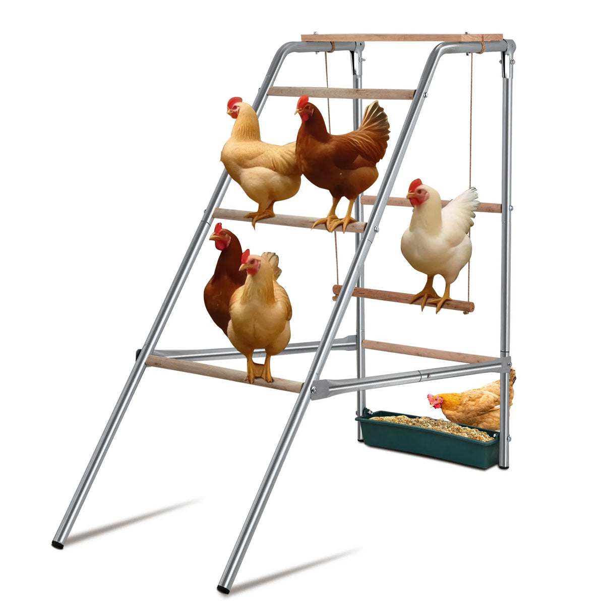 103 x 50 x 100cm Outdoor chicken perch