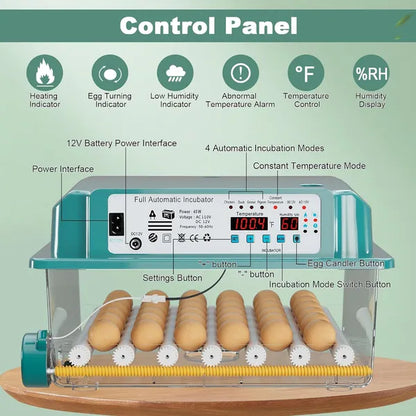 36 Eggs Incubators For Hatching Eggs,Egg Incubator With 4 Automatic Incubate Mode - view 6