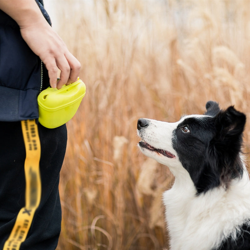 Pet Portable Dog Training Waist Bag Treat Snack Bait Dogs Obedience Agility Outdoor Feed Storage Pouch Food Reward - view 3