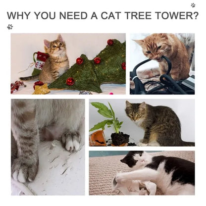 Cat Tree - view 5