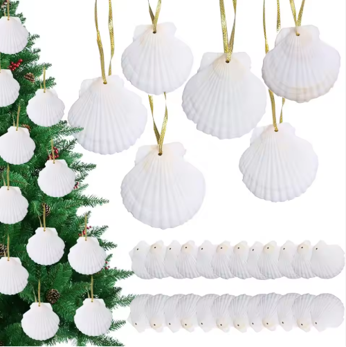 Seashells For Crafting Christmas Ornaments 24pcs 2-3 Inch Hanging Sea Shells Natural White Scallop Shells For Crafts