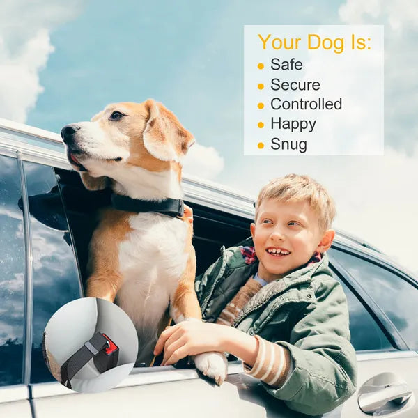 2Pcs Pet Dog Seat Belt Leash Adjustable Pet Dog Cat Safety Leads Harness - view 4