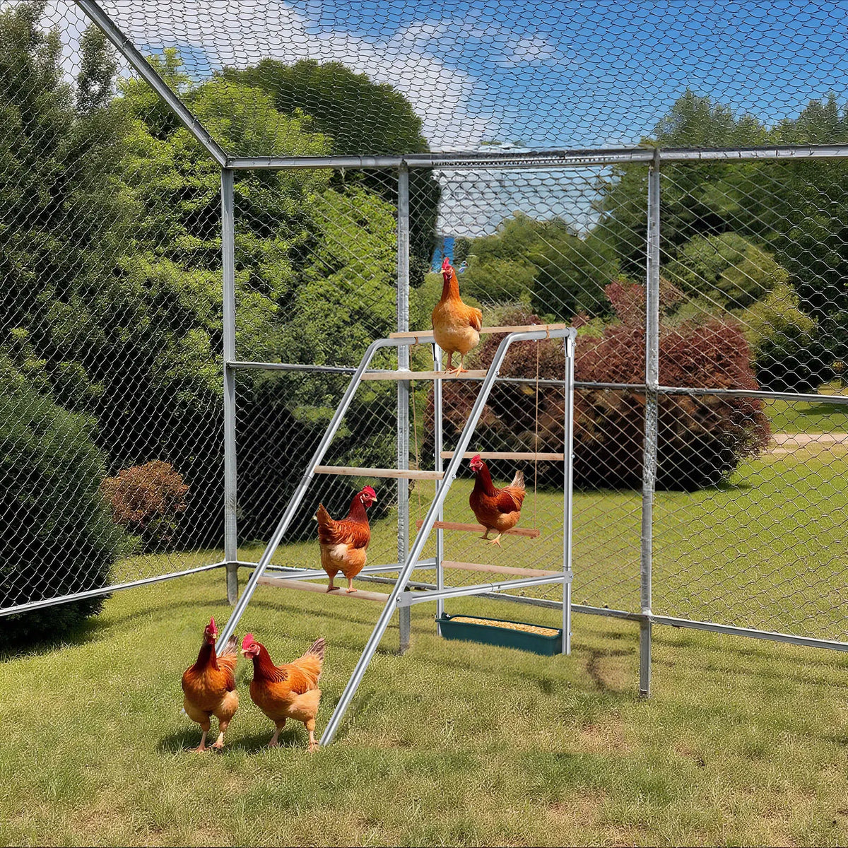103 x 50 x 100cm Outdoor chicken perch - view 4