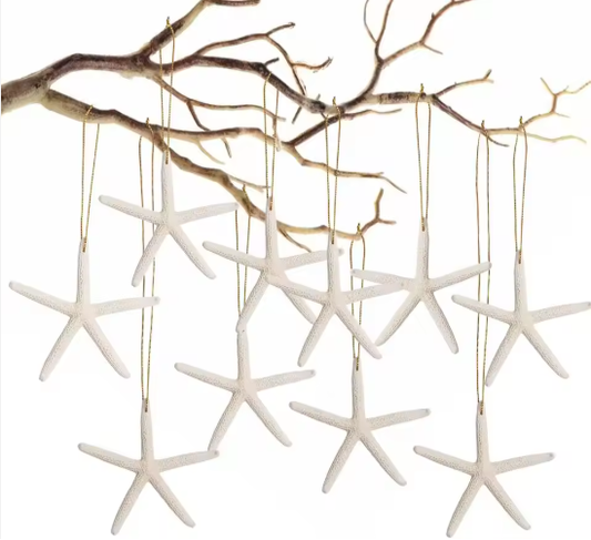 20 PCS Christmas Starfish Hanging Ornaments 3-4'' Natural Starfish With Rope