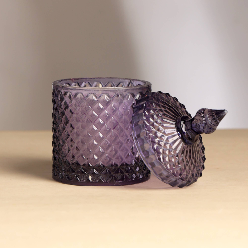Plush Radiance Scented Wax Candle
