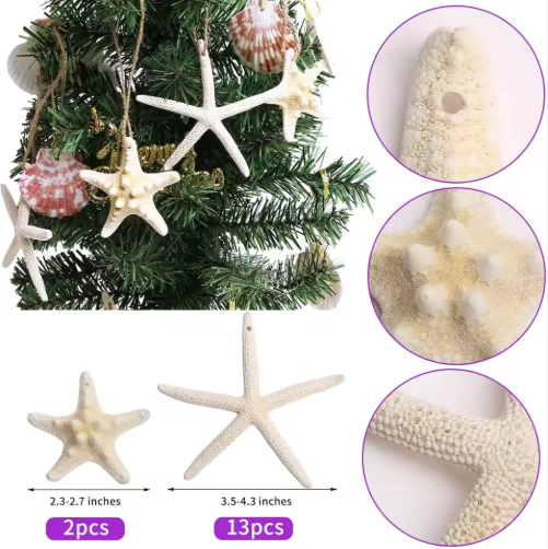 15pcs 2.3-4.3 Inch Starfish Hanging Christmas Tree Ornaments Star Fish Shells Decor For Crafts - view 3
