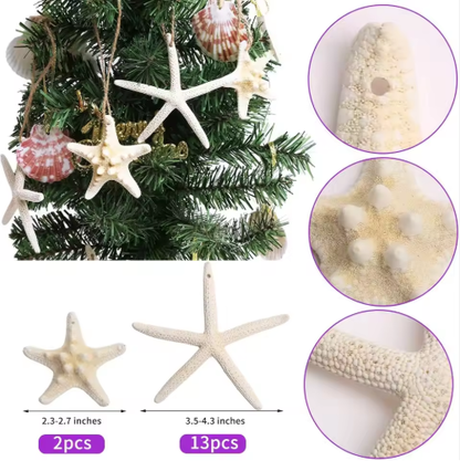 15pcs 2.3-4.3 Inch Starfish Hanging Christmas Tree Ornaments Star Fish Shells Decor For Crafts - view 3