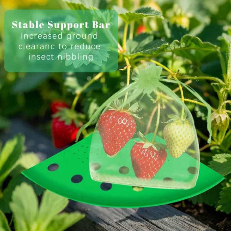 8Pcs Strawberry Planting Kit With 20Pcs Insect-proof Mesh Bag Reusable Strawberry Growing Racks Frame Protecting - view 5