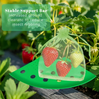 8Pcs Strawberry Planting Kit With 20Pcs Insect-proof Mesh Bag Reusable Strawberry Growing Racks Frame Protecting - view 5