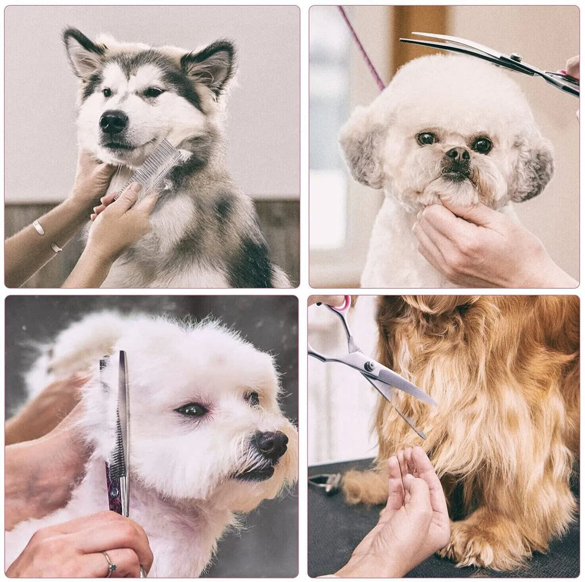 Pet Dog Grooming Scissors Stainless Straight Curved Thinning Shears Trimmer Kits - view 2