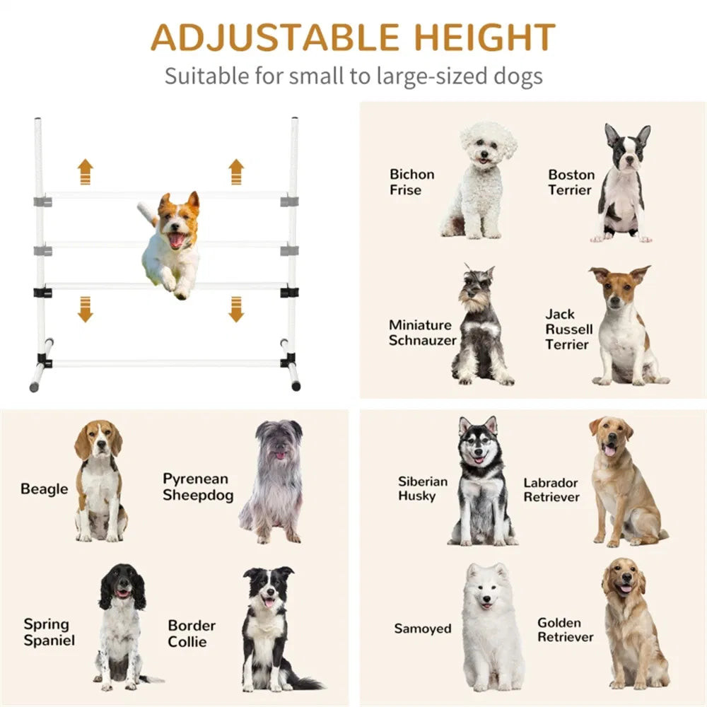 Dog Agility Training Equipment - view 7
