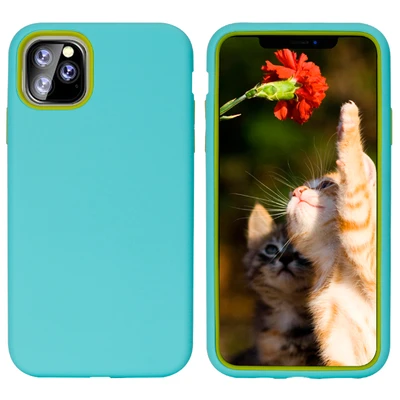 iPhone 11 Dual Max Back Case