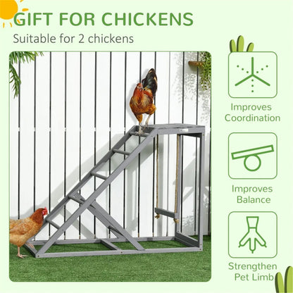 Chicken Activity Play / Chicken Coop Toy