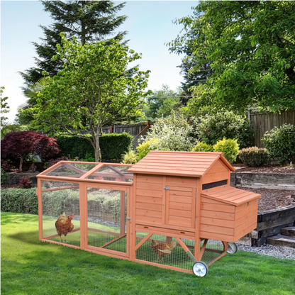 Chicken Coop - view 3