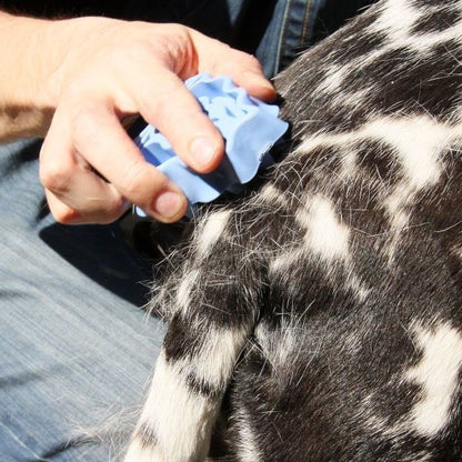Dog Brush For Grooming And Shampooing - Blue Brush For Dogs - view 6