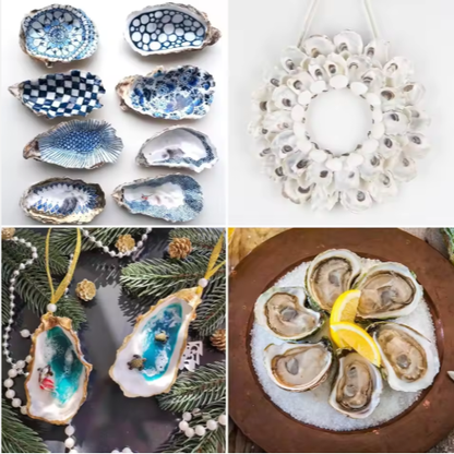30pcs Oyster Shells With Pearl Bulk Natural Oyster Shells For Crafts DIY Arts Xmas Ornaments - view 8