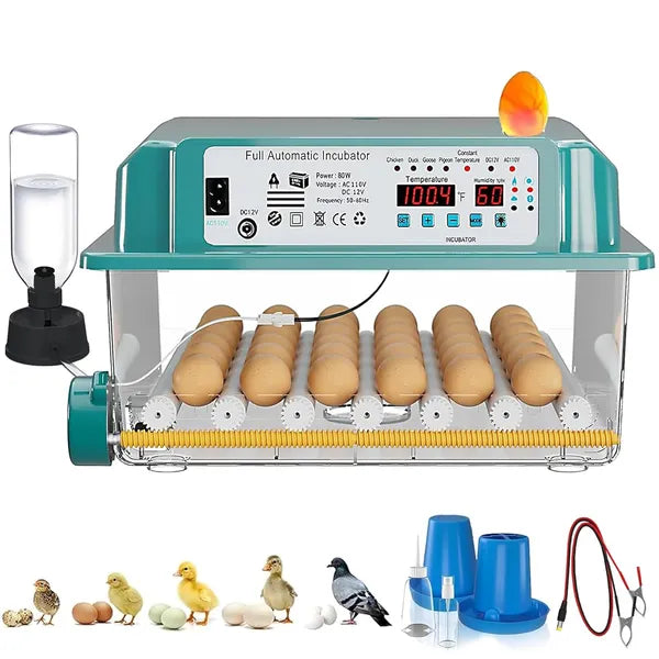 36 Eggs Incubators For Hatching Eggs,Egg Incubator With 4 Automatic Incubate Mode - view 5