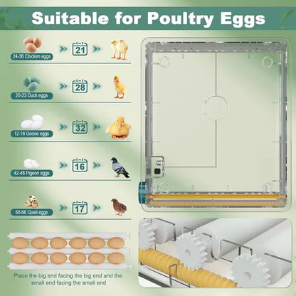 36 Eggs Incubators For Hatching Eggs,Egg Incubator With 4 Automatic Incubate Mode - view 4