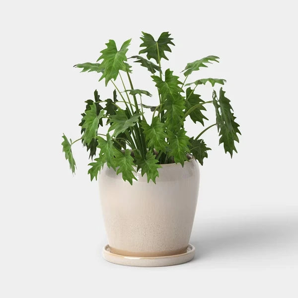 Ceramic Planter With Reactive Glaze 8" - view 5