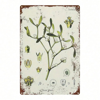 Mistletoe Plant Vintage Metal Tin Sign 2D Flat 1pc 8x12 Inch Classic Illustration Rustic Retro Art Wall Decor Indoor - view 6