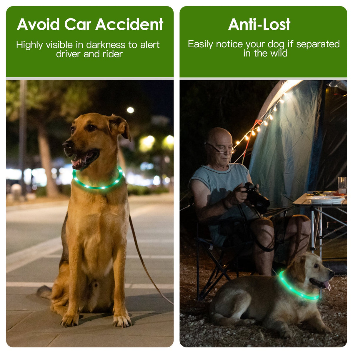 1Pc USB Rechargeable LED Dog Collar Multi Color Lighting Dog Safety Collar Cuttable Length Glow Dog Collar For Small - view 6