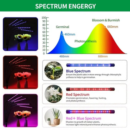 Full Spectrum Indoor Plant Grow Light With Adjustable Stand – 80 LEDs Floor Plant Lamp, 5 Dimming Levels (20%-100%) - view 4