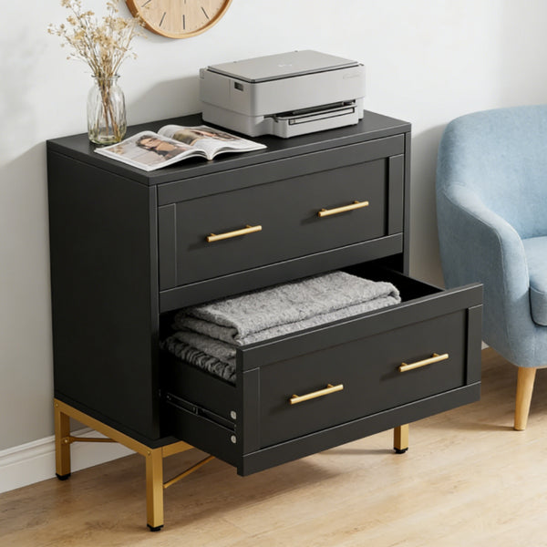 File Cabinet - view 2
