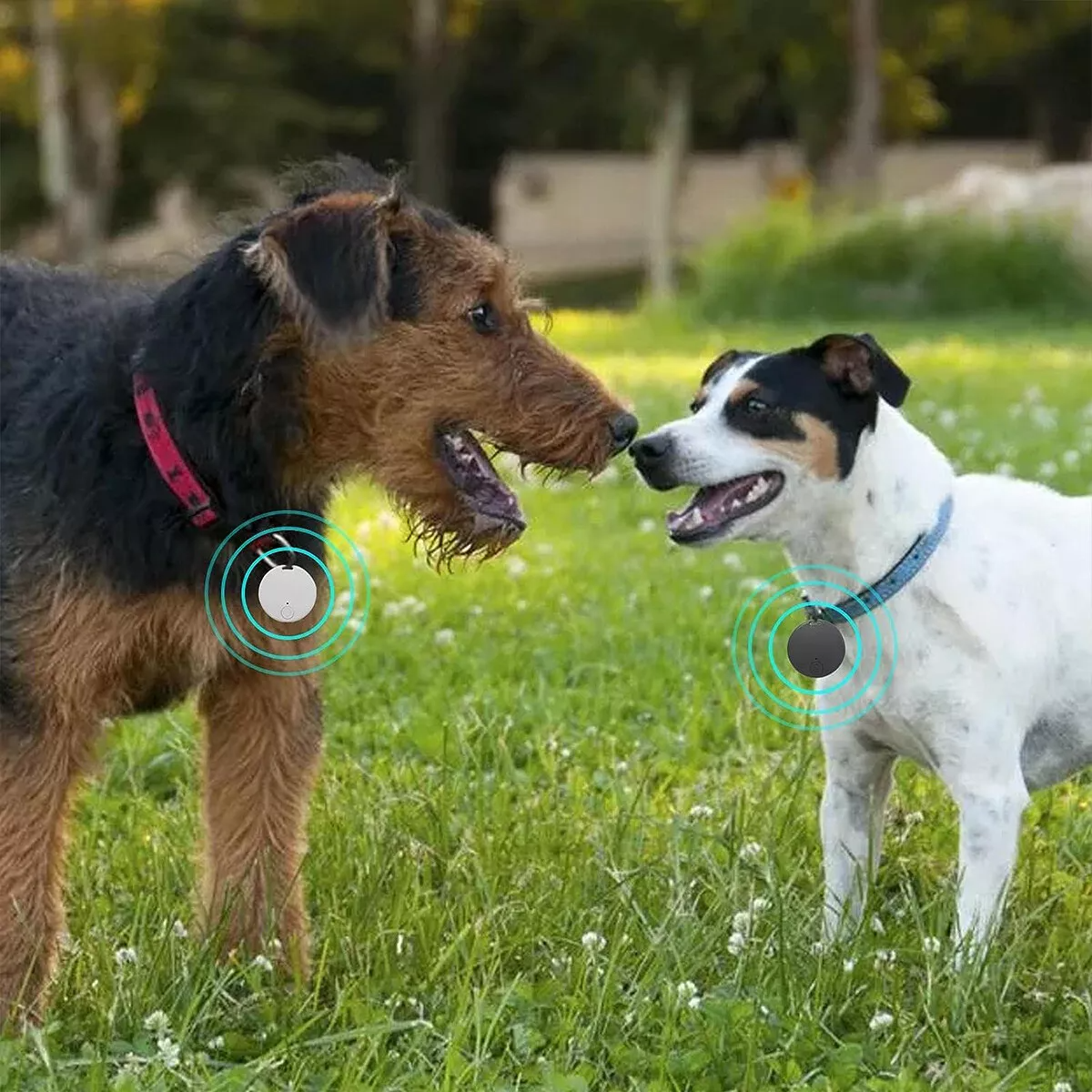 Rastreador Bluetooth GPS — llaves, mascotas y más