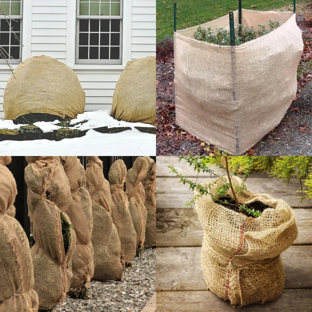 Burlap Tree Wraps,4 Rolls - view 4