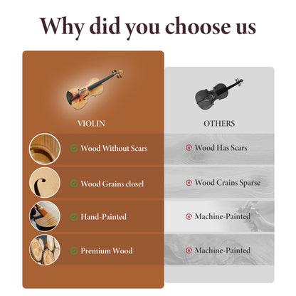 Professional 4/4 Full-Size Violin - Premium Sound, Durable & Lightweight Design With Complete Accessories - view 4