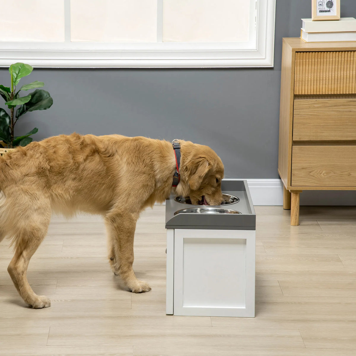 Elevated Dog Bowl