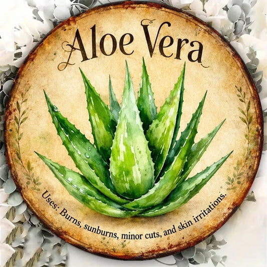 Vintage Aloe Vera Wall Sign 8x8in, Retro, Flat Decorative Plaque For Burns & Skin Irritation