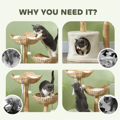 Cat Tree - view 6
