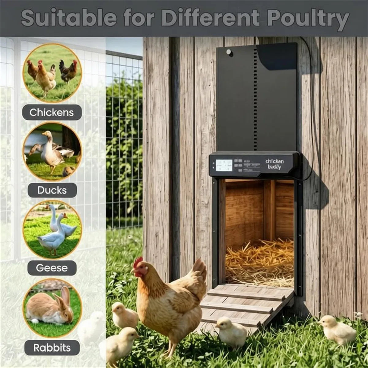 Solar Powered Automatic Chicken Coop Door with 4 Control Modes Light Sensor Timer Remote Manual - view 5