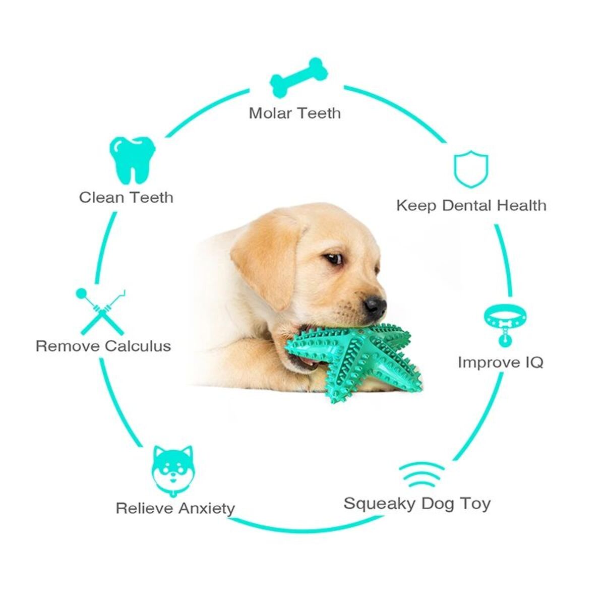 Dog Toys For Large Dogs Tooth Cleaning Chew Funny Interactive Training Starfish Toy Accessories Squeaky Toys TPR Toys - view 5