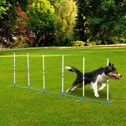 Dog Outdoor Exercise Training Set