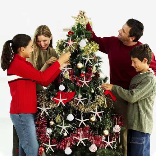 20 PCS Christmas Starfish Hanging Ornaments 3-4'' Natural Starfish With Rope - view 5