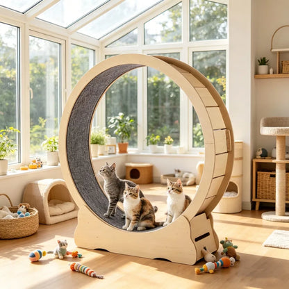 Wooden Cat Exercise Wheel - view 6
