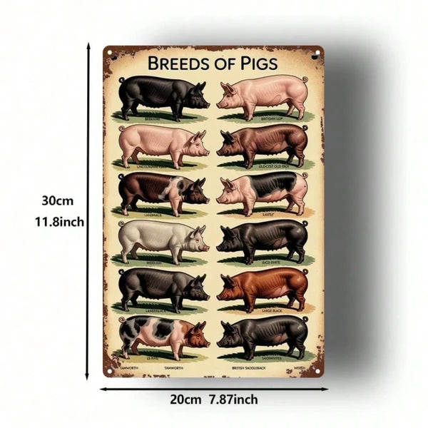 Vintage Pig Breeds Metal Sign 8x12 Inch Retro Distressed Wall Art 2D Flat Metal Poster For Home Garage Bar Cafe - view 3