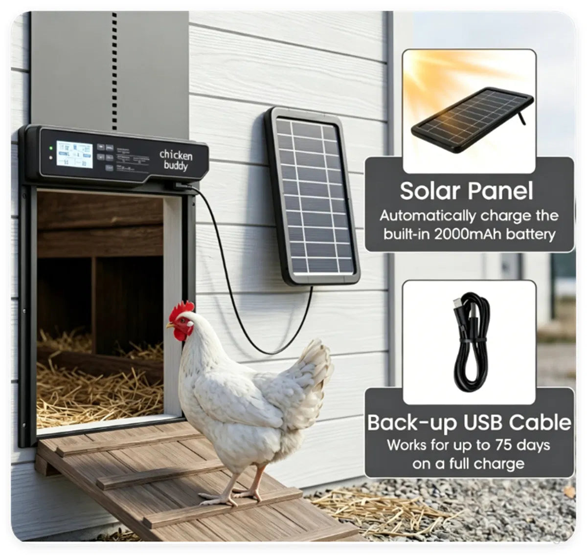 Solar Powered Automatic Chicken Coop Door with 4 Control Modes Light Sensor Timer Remote Manual - view 2