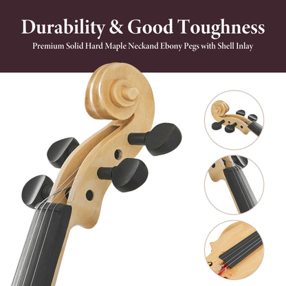 Professional 4/4 Full-Size Violin - Premium Sound, Durable & Lightweight Design With Complete Accessories - view 2