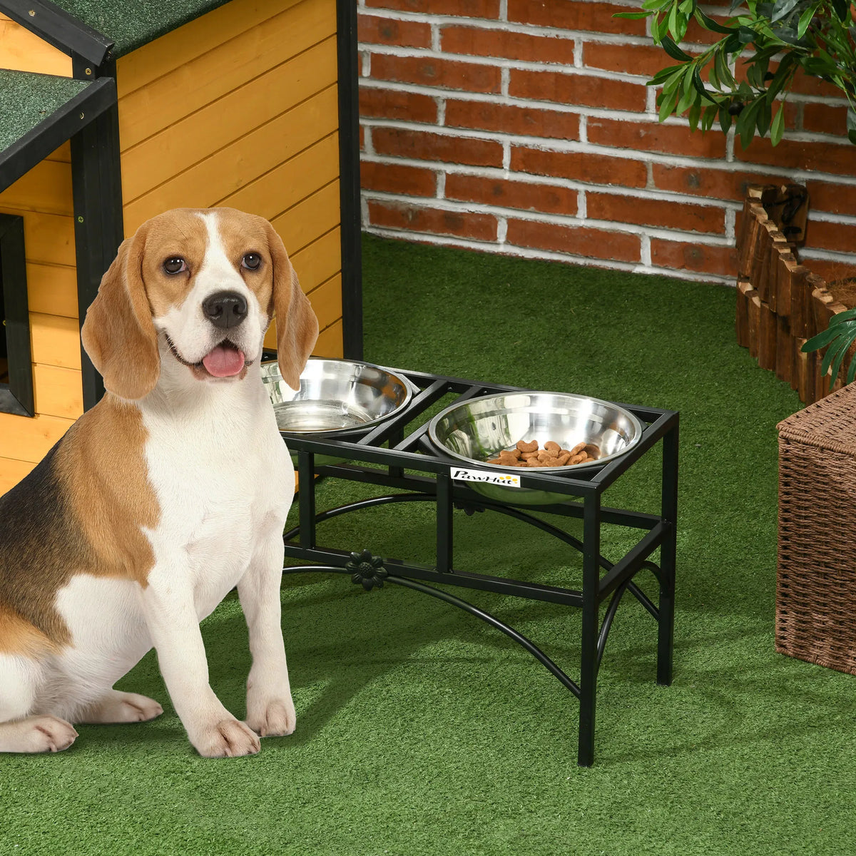 Elevated Dog Bowl